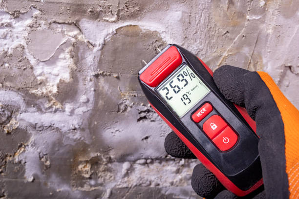 Best Mold Testing  in Green Oaks, IL